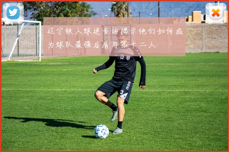 辽宁铁人球迷专访揭示他们如何成为球队最强后盾与第十二人